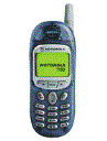 Best available price of Motorola T190 in Pakiatan