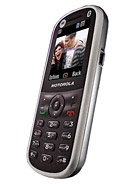 Best available price of Motorola WX288 in Pakiatan