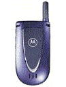 Best available price of Motorola V66i in Pakiatan